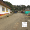 IMG_20211025_145432