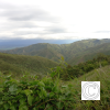 IMG_20211025_150734