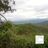IMG_20211025_150738