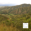 IMG_20211025_151447