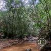 IMG-20231015-WA0004