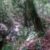 IMG-20231015-WA0005