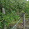 IMG-20231015-WA0010
