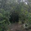 IMG-20231015-WA0015