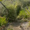 IMG-20231015-WA0020