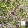 IMG_20210815_131309