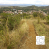 IMG_20210815_131734