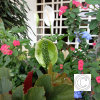 IMG_20210827_112816
