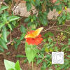 IMG_20210902_150654