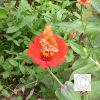 IMG_20210902_150705