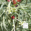 IMG_20210905_111019