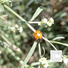 IMG_20210905_111045
