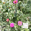 IMG_20210905_115824