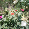 IMG_20210905_115833