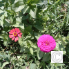 IMG_20210905_115850