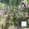 IMG_20210905_132921
