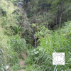 IMG_20211025_093840