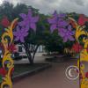 IMG_20251108_134145117_HDR