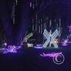IMG_20251128_195239074