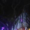 IMG_20251207_204015565