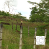 IMG_20211018_134645