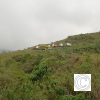 IMG_20211025_101522