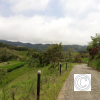 IMG_20211025_124955