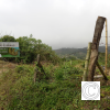 IMG_20211025_131648