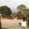 IMG_20211025_141412