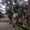 Parque Cevallos at Martinez and Av Cevallos (4)