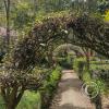 Parque Luis A. Martínez, Garden in Parque el Sueno (8)