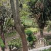Parque Luis A. Martínez, Garden in Parque el Sueno (9)