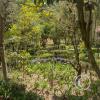 Parque Luis A. Martínez, Garden in Parque el Sueno