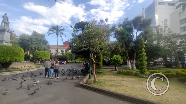 Parque Montalvo (2)