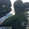 Parque de los Enamorados at Paccha and Av Quiz Quiz (2)