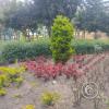 Parque el Sueño, garden