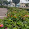 IMG_20221114_105623332_HDR