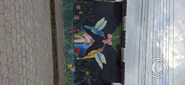 Mural on Celia Ampudia near Victor Perez Bayas