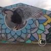 IMG_20221204_171131730