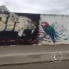 IMG_20221204_171758161