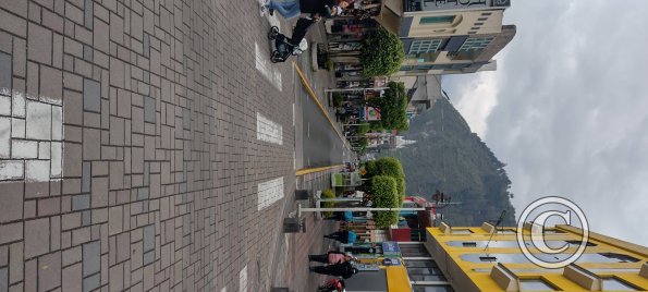 Ambato and Thomas Halflants