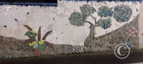 Mural on Av El Salado near Via a Banos (3)