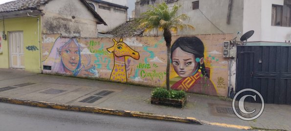 Mural on Oriente near 16 de Diciembre