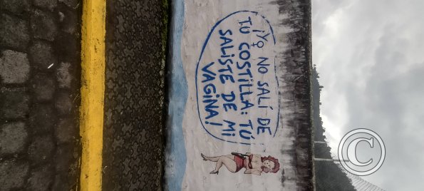 Mural on building on Thomas Halflants (4)