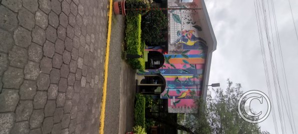 Mural on building on Thomas Halflants