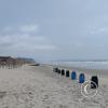 IMG_20221202_130759342