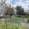 Big turning circle with a park inside (3)