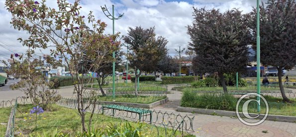 Big turning circle with a park inside (3)