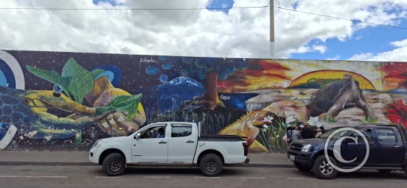 Murals on Rocafuerte and Argentina (2)