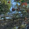 Jardin Botanico on El Moreta (12)